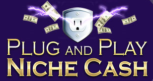  Andrew Hansen - Plug and Play Niche Cash 